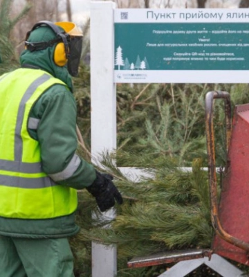 З 2 січня в Києві запрацюють 78 пунктів прийому новорічних дерев — перелік адрес