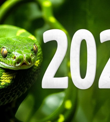 Китайський Новий рік 2025. Рік Деревної Змії та його символіка