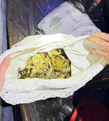 На Одещині зафіксували рекордний збиток рибним запасам