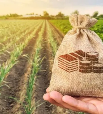 Окупанти планують продати землю на Херсонщині - ЦНС