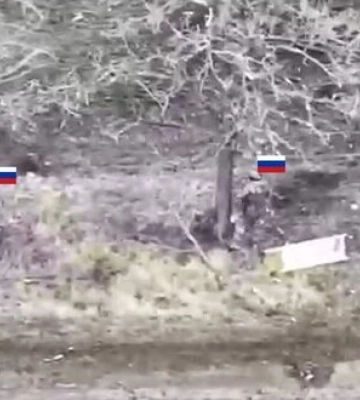 Силы обороны обнаружили и точно поразили дронами-камикадзе российских захватчиков под Покровском. ВИДЕО
