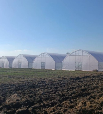 На продаж виставили тепличний комплекс біля Черкас