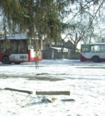 Як у Луцьку курсуватиме громадський транспорт у перший день нового року