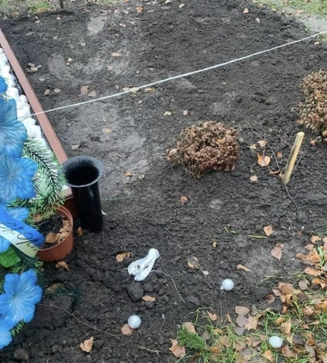 Невідомі вкрали новорічні ялинки з могил військових на Київщині
