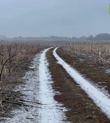 У перший день нового року на Полтавщині буде плюсова температура і туман
