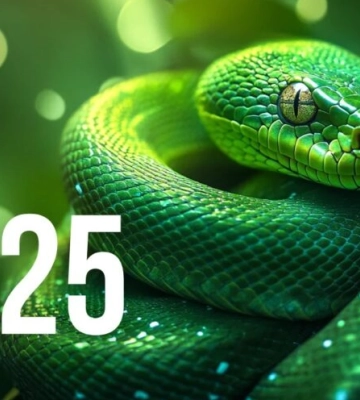 Чому 1 січня 2025 року не настав рік Змії