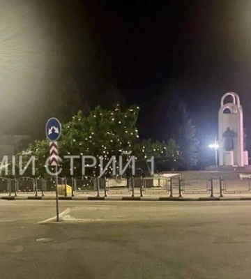 В Стрыю во Львовской области упала новогодняя елка