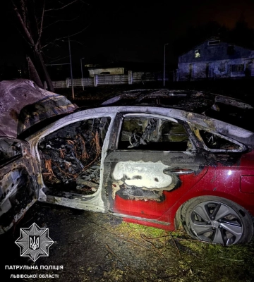 На Сихові п’яний водій зніс дорожні знаки та в’їхав у дерево
