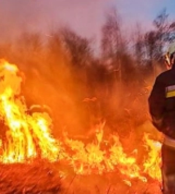 Наслідки безвідповідальності: у Стрийському районі згоріли тисячі квадратних метрів сухостою