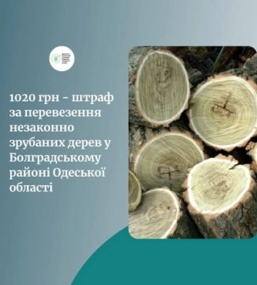 На Одещині чоловік незаконно вирубав дерева