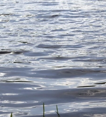 Трагедія на озері під Львовом: чоловік загинув, пірнувши у воду