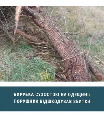 На Одещині чоловіка оштрафували за вирубку сухостою
