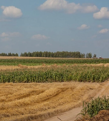 В Україні шукають постачальників агропродукції для ваучерних програм