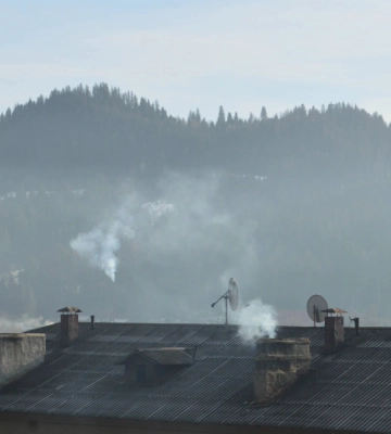На Коломийщині сім’я отруїлася чадним газом