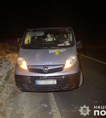 У Львові автівка травмувала жінку на переході