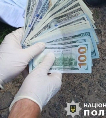 Позбавлення волі й конфіскація майна: суд покарав волинського еколога за хабарництво