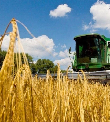Херсонські аграрії в 2024 році зібрали вдвічі більший урожай, ніж торік