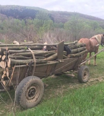 Зник ще 9 листопада: встановили особу чоловіка, тіло якого знайшли у водоймі на Волині