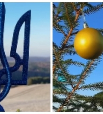 Де розташована найвища ялинка Волині