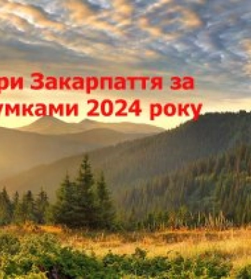Лідери Закарпаття-2024: результати експертного опитування