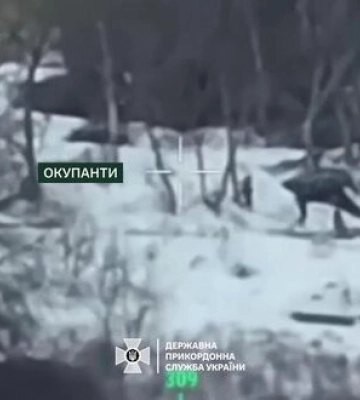 Артиллеристы уничтожили окопные линии, блиндажи, позиции вместе с гранатометами, а также ликвидировали 34 захватчика.. ВИДЕО