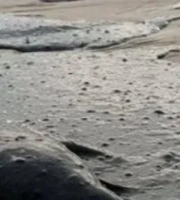 Туди активно їхали росіяни: які курорти в Криму забруднені мазутом