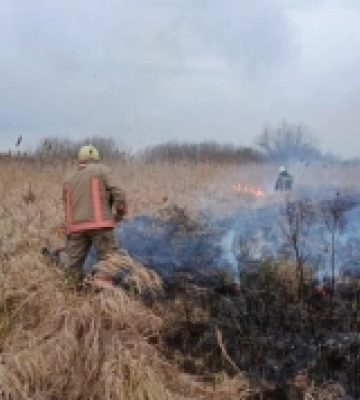 У національному парку на Волині горів сухостій: пожежники задіяли всюдихід