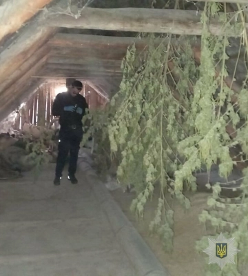 Жителю Одещини загрожує 8 років тюрми за оборудки з наркотиками, - ФОТО