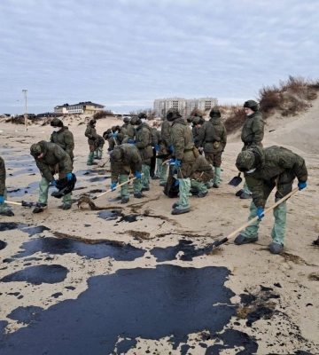 Вимазані рештки птахів на пляжі. Поблизу Севастополя знайшли плями мазуту розміром у кілька кілометрів із російських танкерів — фото