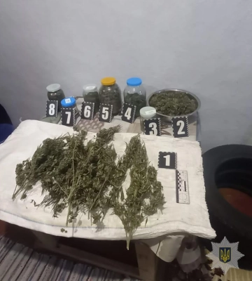 У Білгород-Дністровському районі у чоловіка вилучили 4 кг канабісу
