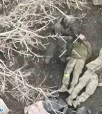 Біля Нескучного на Донеччині російські військові, ймовірно, розстріляли трьох українських військовополонених