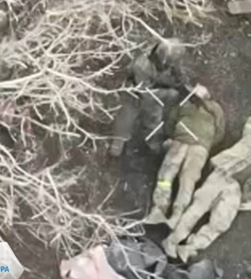Расстрел пленных ВСУ в Волновахском районе: начато расследование