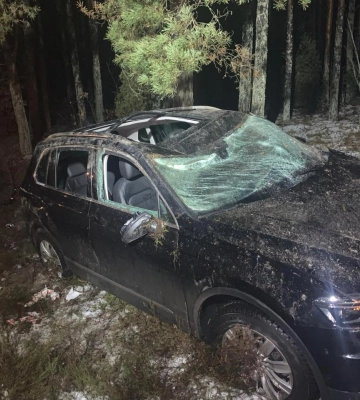 Водій не впорався з керуванням: на Волині авто злетіло у кювет, постраждали пасажирки