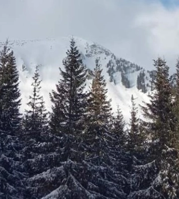 У Карпатах зійшла лавина