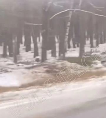 На Волині автівка злетіла у кювет