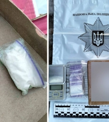 Чи не замерзнуть у Рівному лебеді?