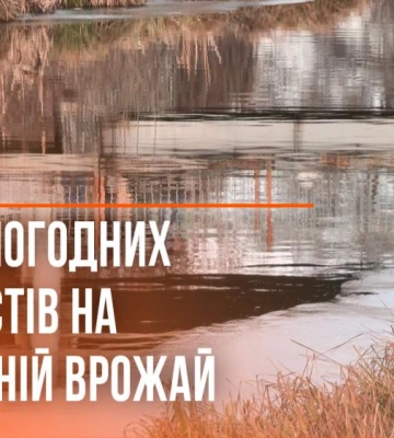 Можуть здорожчати продукти: як аномальне тепло на Рівненщині вплине на майбутній врожай (ВІДЕО)
