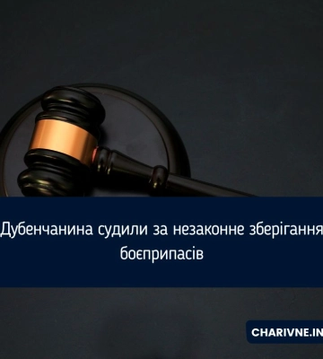 Дубенчанина судили за незаконне зберігання боєприпасів