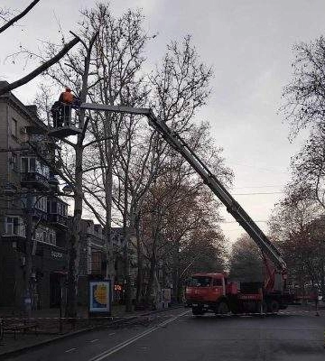 Чому на КП &quot;Миколаївські парки&quot; не поширюються закони України?