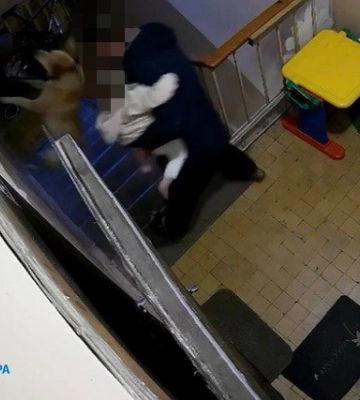 У Києві повідомлено про підозру та заґратовано чоловіка, який вбив собаку, - прокуратура