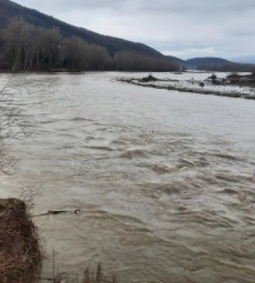На Закарпатті стрімко піднімається рівень води в річках