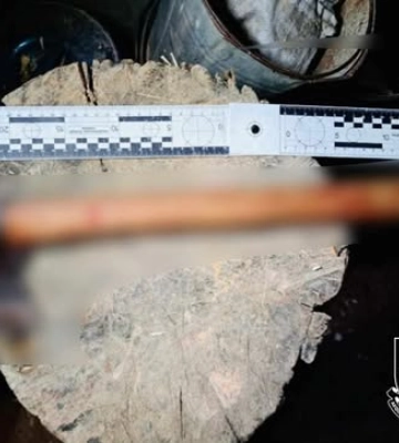 Безжально зарубав сокирою літню жінку - повідомлено про підозру жителю Прикарпаття