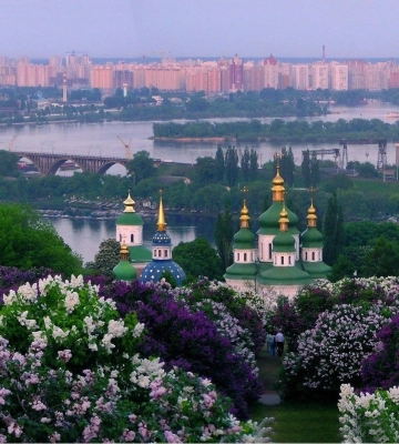 Землю ботсаду імені Гришка в Києві передали під житлову забудову попри заборону — Держаудитслужба