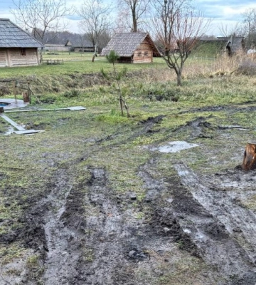У парку Оствиця у Рівному побували «свині»