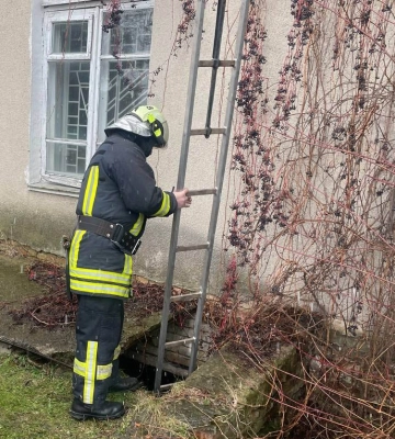 На Волині рятувальники витягнули з пастки собаку 