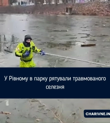 На "Оствиці" у Рівному пошкодили джерело, витягуючи авто. Деталі від керівника парку