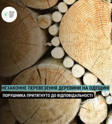 На Одещині виявили автомобіль, навантажений незаконно зрубаними деревами
