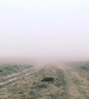 Туман та ожеледь. Якою буде погода на Херсонщині 12 січня