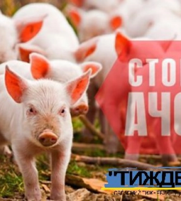 НА СУМЩИНІ ВИЯВЛЕНО ДВА ВИПАДКИ АФРИКАНСЬКОЇ ЧУМИ СВИНЕЙ