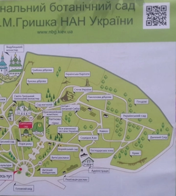 Київ просить Уряд втрутитися в ситуацію із забудовою Національного ботсаду Гришка